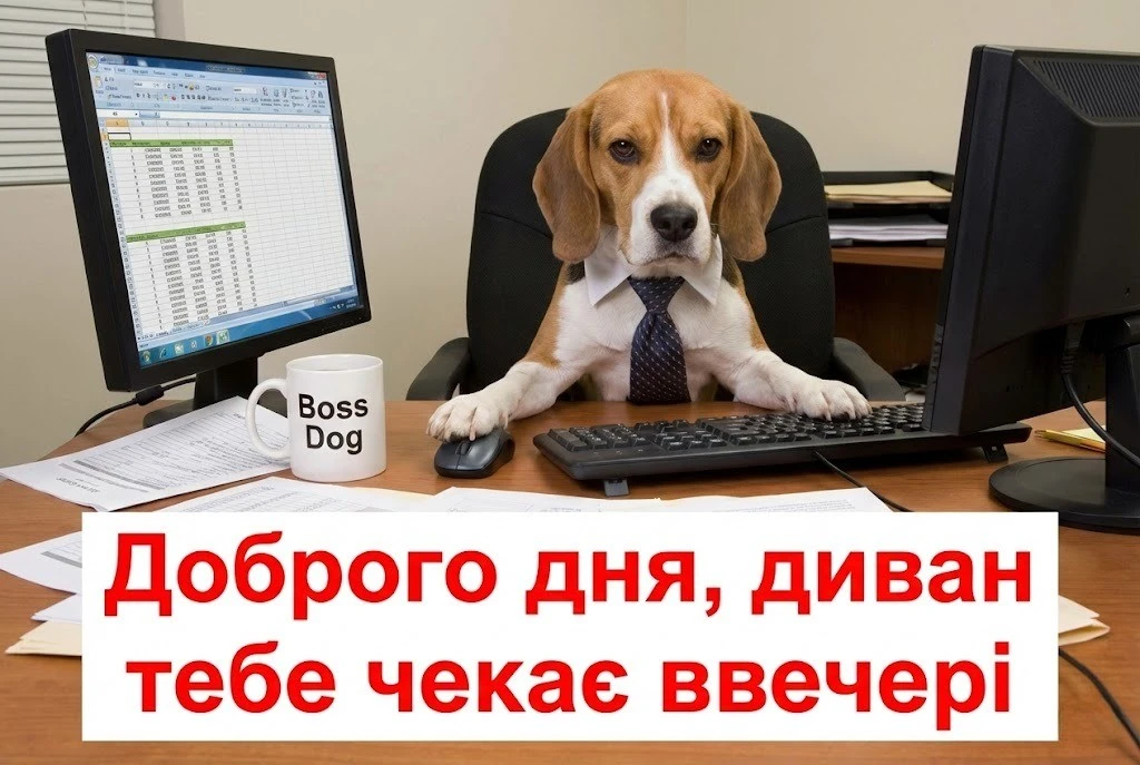 Доброго чудового дня: картинки та душевні листівки для гарного настрою