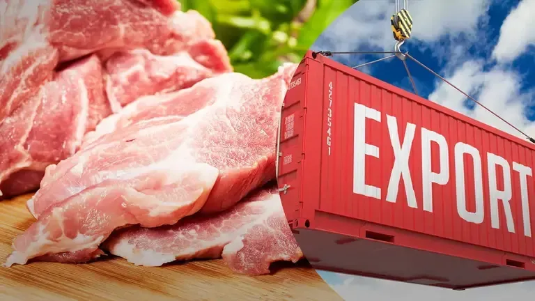 Україна готується до аудиту ЄС для розблокування експорту свинини