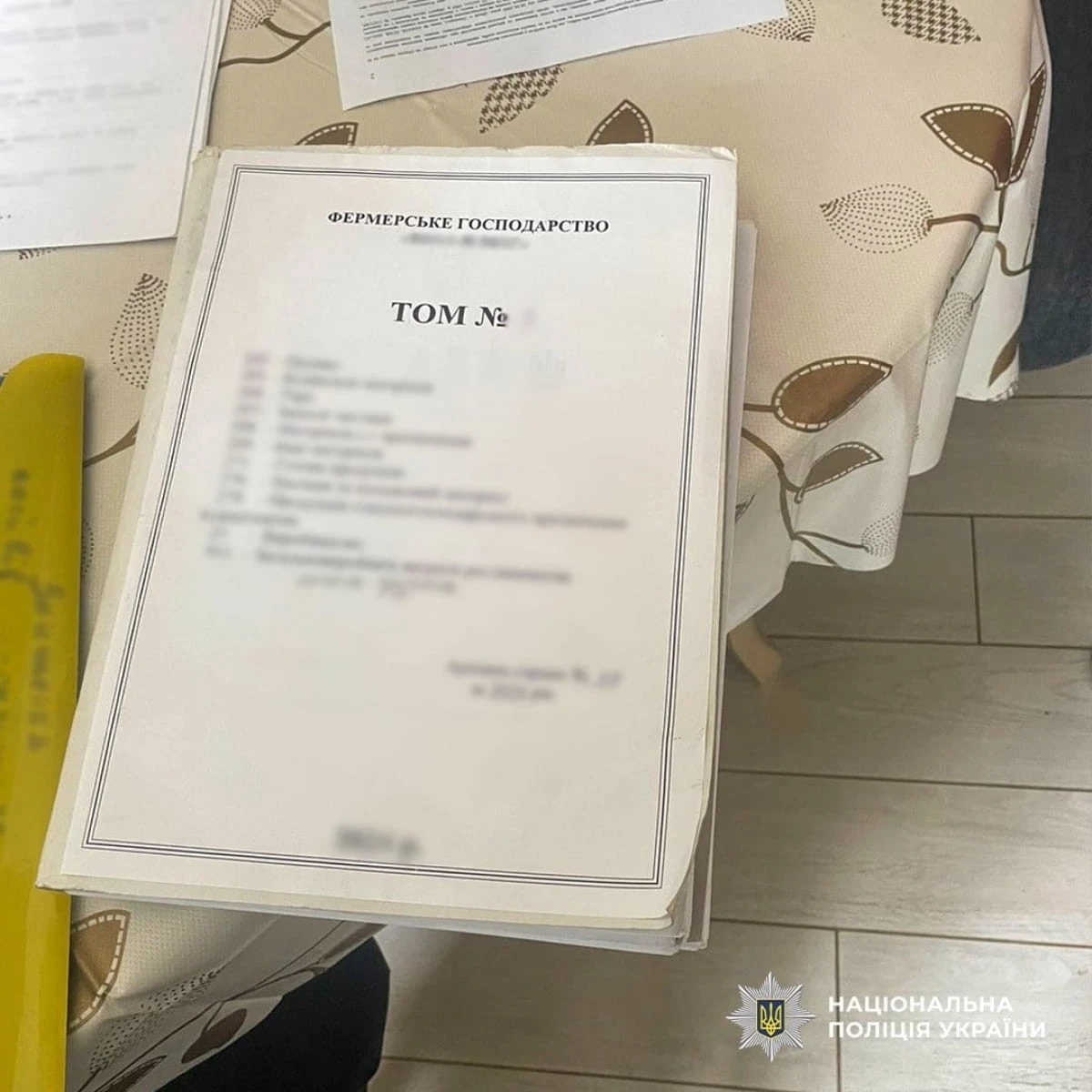 Мільйони на ілюзії безпеки: як на Херсонщині «розміновували» чисті поля