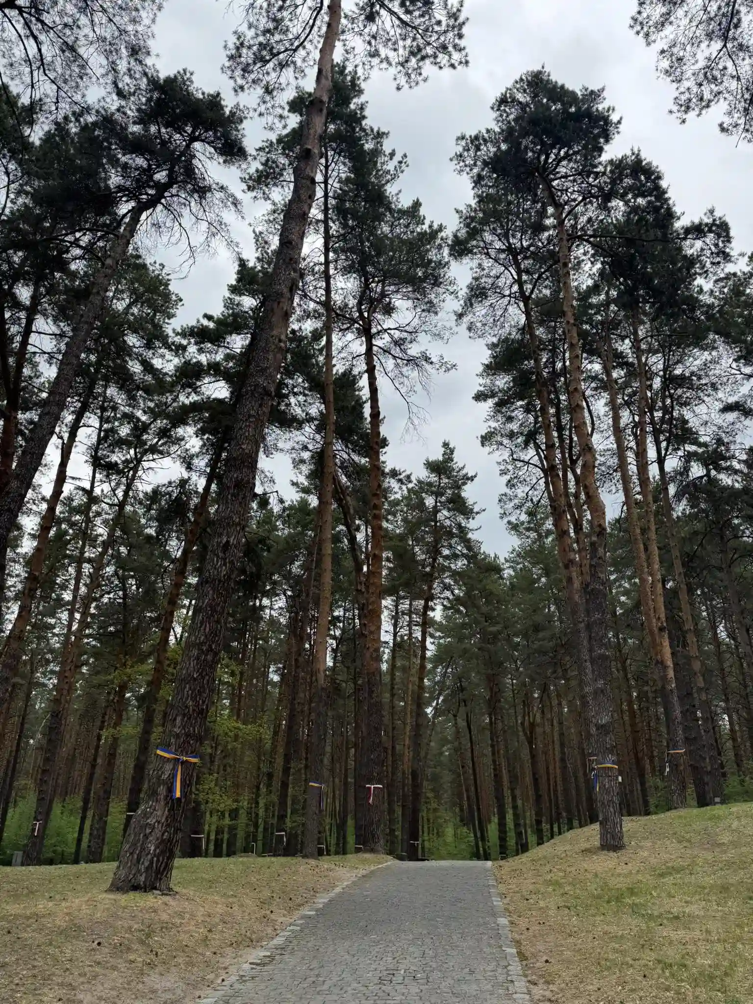 Терор крізь покоління: у Биківні згадали жертв сталінських розстрілів під звуки сучасної ППО