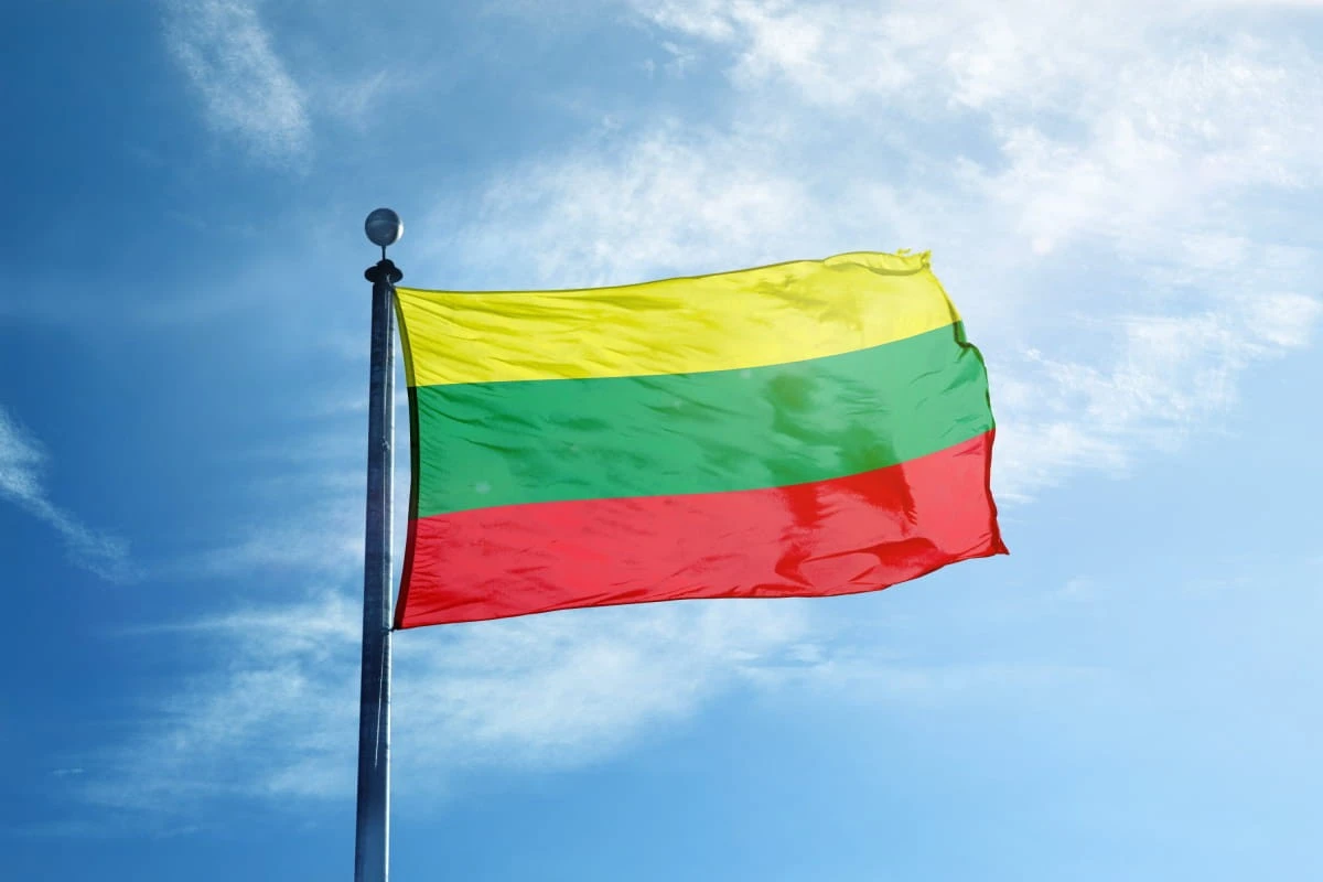 Обов’язкова служба для всіх: Литва готує масштабну військову реформу через загрозу БПЛА